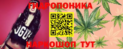 амф Жуковский