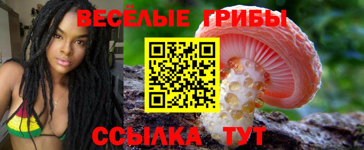 что такое   Галлюциногенные грибы мицелий  Вход с VPN  Шебекино 